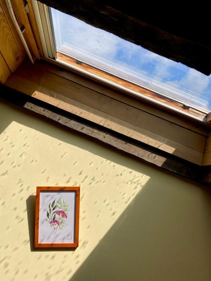 Ahio San Martin, Apartamentos Rurales Casa De La Villa San Martin de Oscos Buitenkant foto